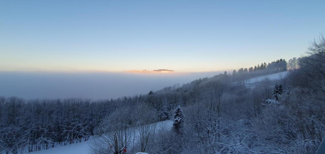 Ferienwohnungen Eismecke Bestwig Luaran gambar